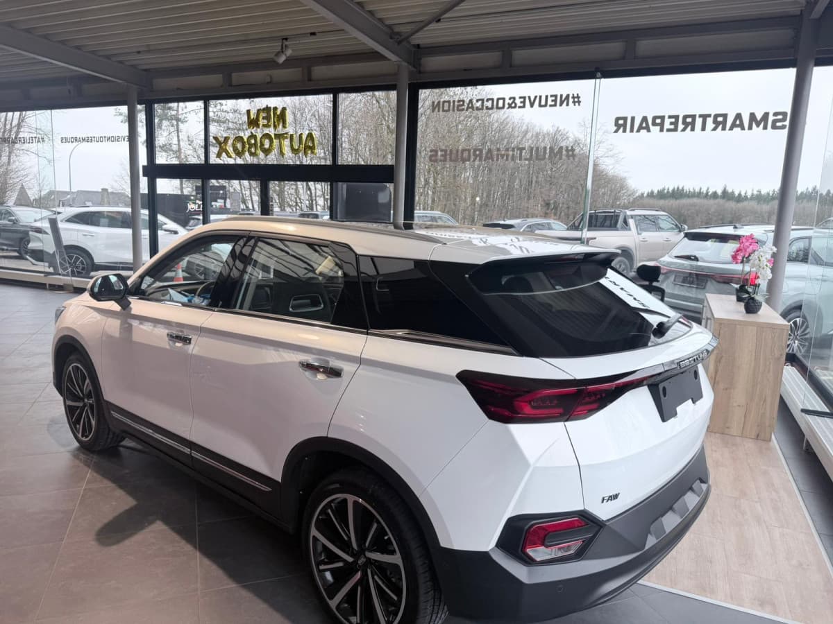 Bestune T77 1.5 TURBO 160 CV DCT, Foto 6 de 15