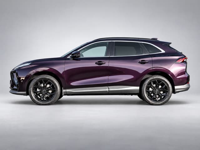 Forthing T5 EVO EXCLUSIVE, Photo 3 sur 5