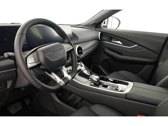 Forthing T5 EVO EXCLUSIVE, Photo 4 sur 5
